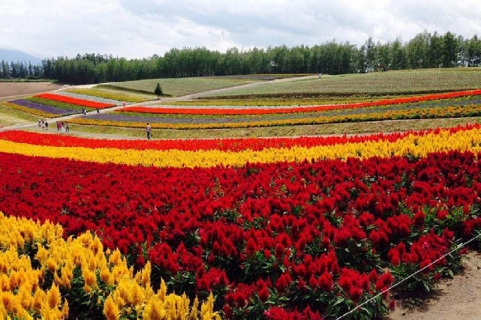 Ark City Asahikawa - Vacation Stay 8508 Esterno foto